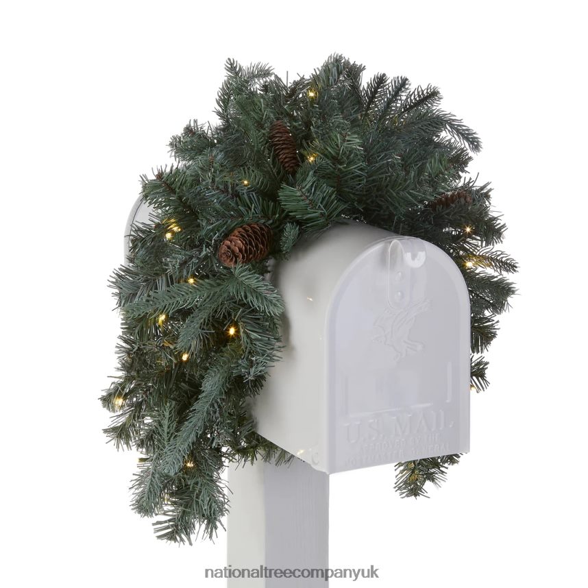 Greenery | National Tree Company Pre-Lit Artificial Mailbox Swag Decoration Green Arctic Spruce LED Lights Decorated with Pine Cones Christmas Collection 3 Feet F2L4F446
